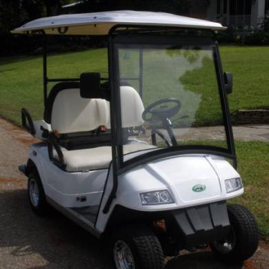 lsv passenger electric