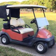 All Golf Carts For Sale On Worldgolfcarts Com